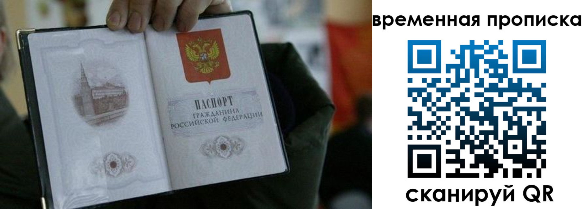 найти адрес прописки в Ельце